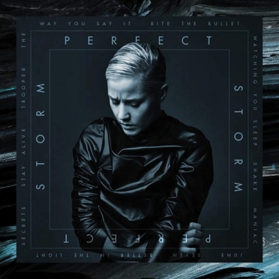 Vanbot - Perfect Storm (2015) [WEB Release]