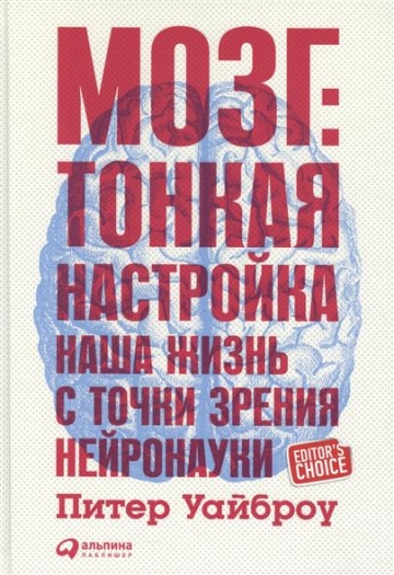 Мозг Тонкая настройка
