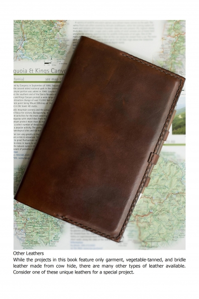 Idiot's Guides: Leather Crafts