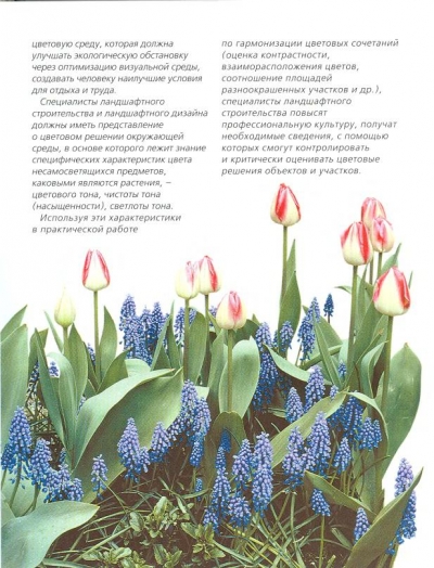 Цвет в ландшафтном дизайне