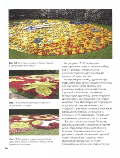 Цвет в ландшафтном дизайне
