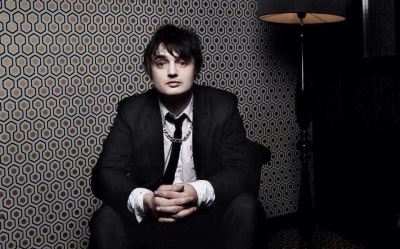 Peter Doherty - Hamburg Demonstrations (2016) [WEB Release]