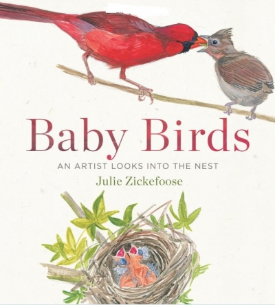 Baby Birds: An Artist Looks into the Nest