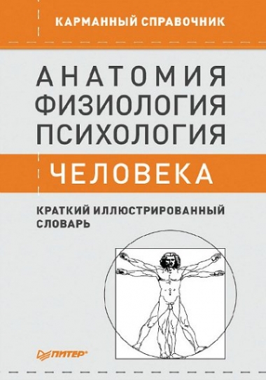 Анатомия, физиология, психология человека