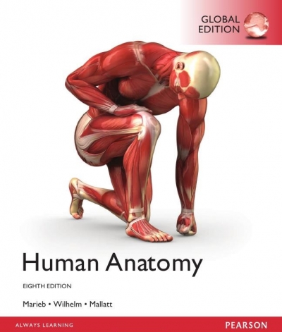 Human Anatomy, Eighth Edition (2017)