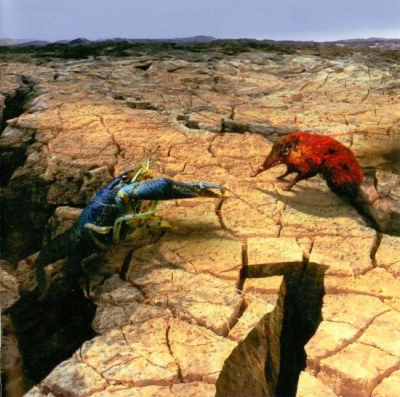 Phideaux – Number Seven (2009)