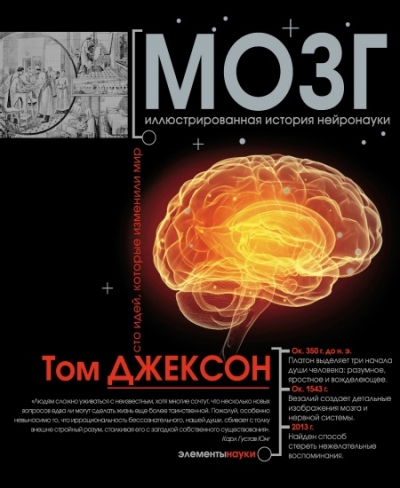 Том Джексон - Мозг. Иллюстрированная история нейронауки