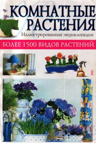 Комнатные растения. Иллюстрированная энциклопедия