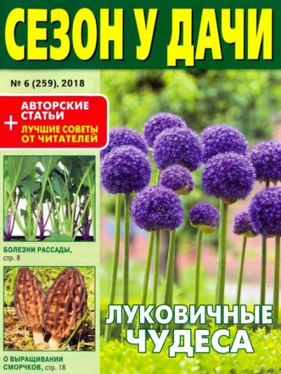 Сезон у дачи №6 (март 2018)