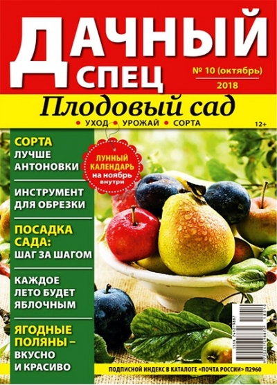 Дачный спец №10 (октябрь 2018)