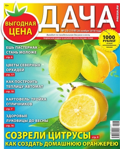 Дача №23 (ноябрь 2018)