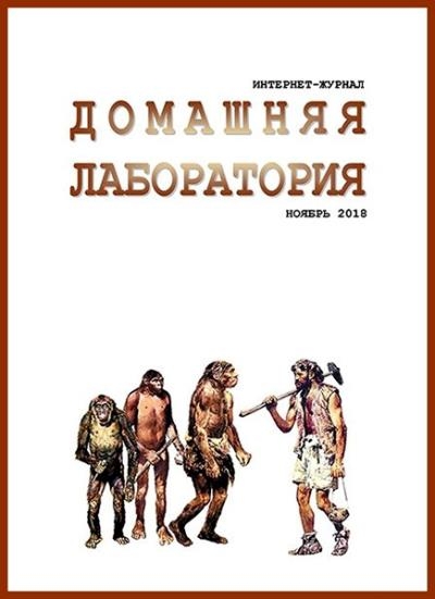 Домашняя лаборатория №11 (ноябрь 2018)