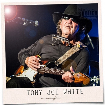 Tony Joe White - Hoodoo (2013)