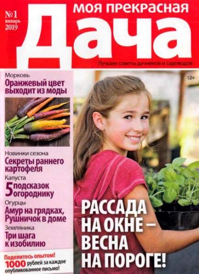 Моя прекрасная дача №1 (январь 2019)