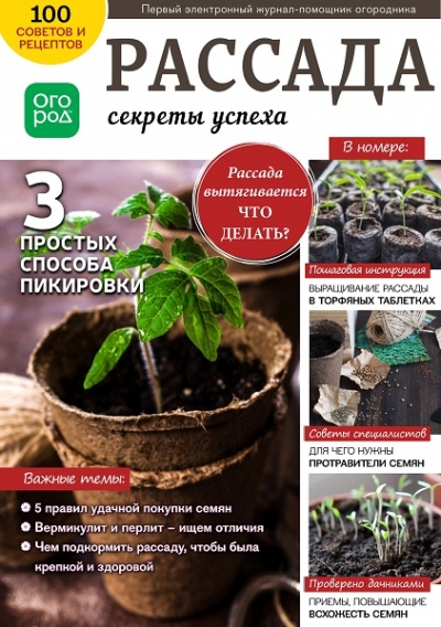 Огород Ру №22 (февраль 2019). Рассада - секреты успеха
