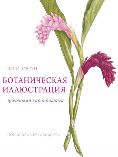 Ботаническая иллюстрация цветными карандашами