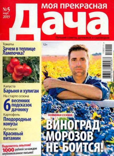 Моя прекрасная дача №5 (март 2019)