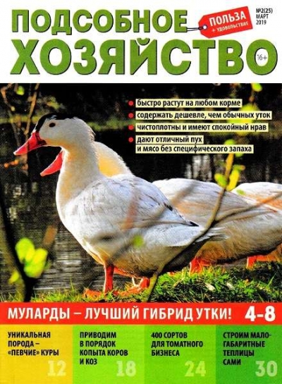 Подсобное хозяйство №2 (март 2019)