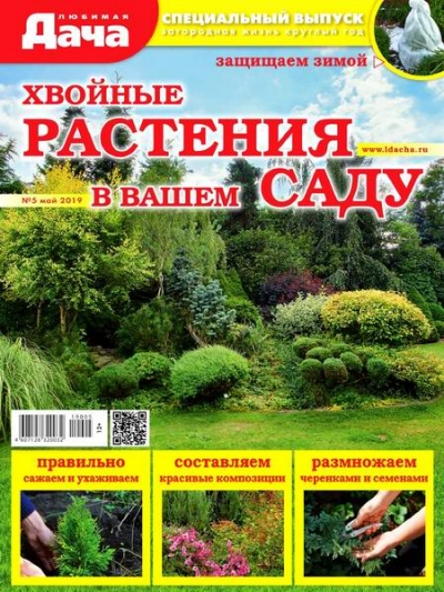 Любимая дача. Спецвыпуск №5 (май 2019). Хвойные растения в вашем саду