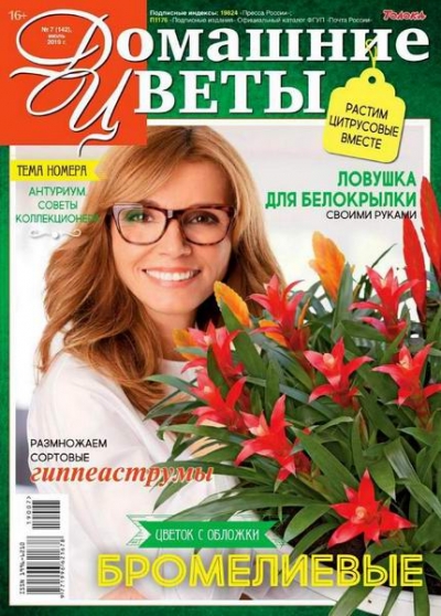 Домашние цветы №7 (июль 2019)