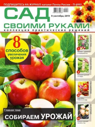 Сад своими руками №9 (сентябрь 2019)