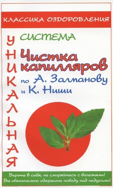 А.В. Дмитриев. Чистка капилляров по А. Залманову и К. Ниши