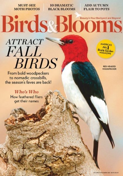 Birds & Blooms Vol.26 №5 2020