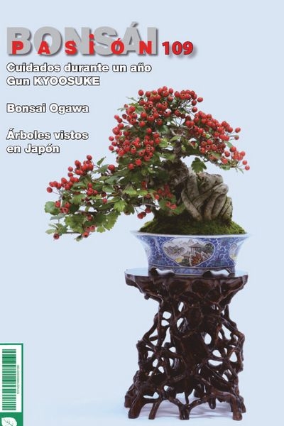 Bonsai Pasion №109 2020