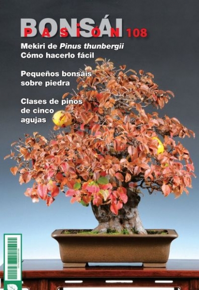 Bonsai Pasion №108 2020