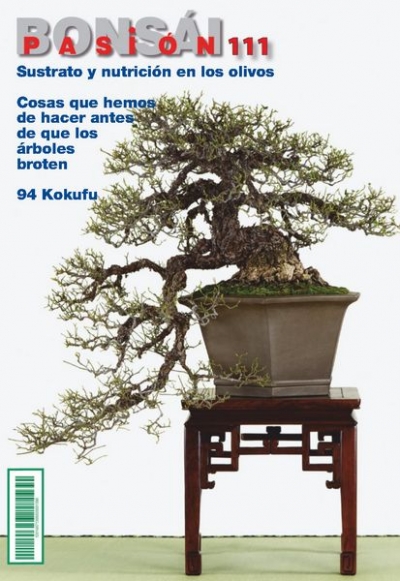 Bonsai Pasion №111 2020