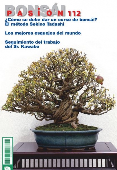 Bonsai Pasion №112 2020