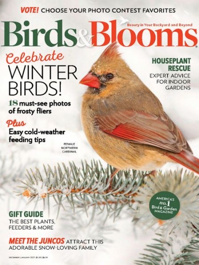 Birds & Blooms Vol.26 №6 2020-2021